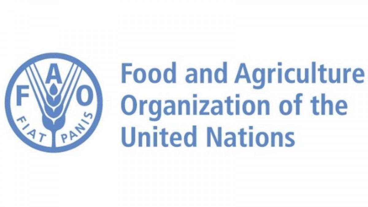 Food and Agriculture organization of the united nations