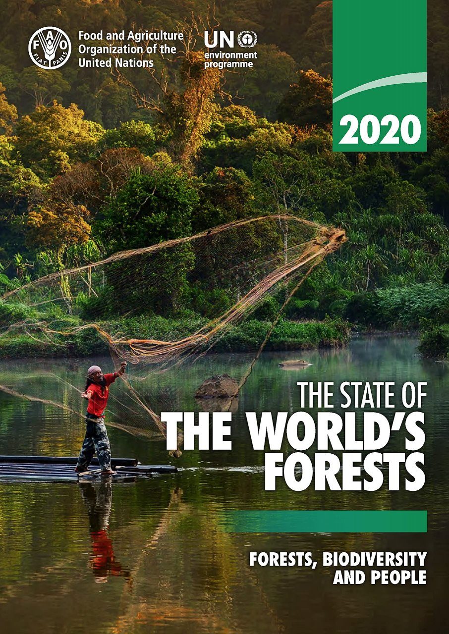 The State of the World’s Forests 2020